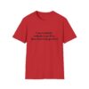 9505860065838910464_2048.jpeg I am a nobody, nobody is perfect... T-Shirt — Funny Self-Contradictory Quote Tee